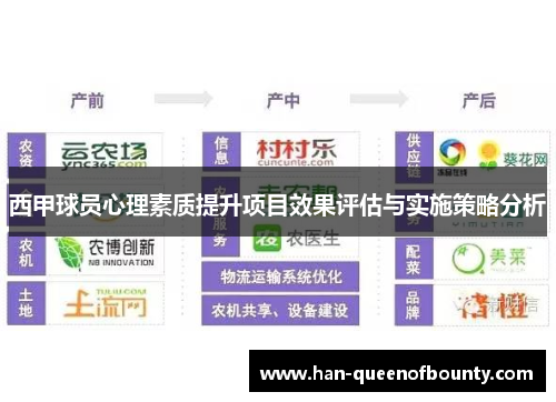 西甲球员心理素质提升项目效果评估与实施策略分析