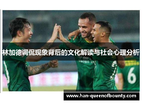 林加德调侃现象背后的文化解读与社会心理分析