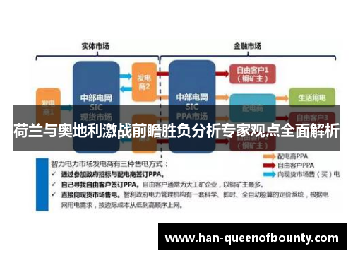 荷兰与奥地利激战前瞻胜负分析专家观点全面解析