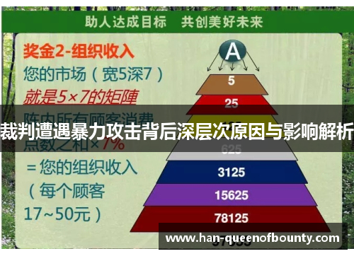 裁判遭遇暴力攻击背后深层次原因与影响解析